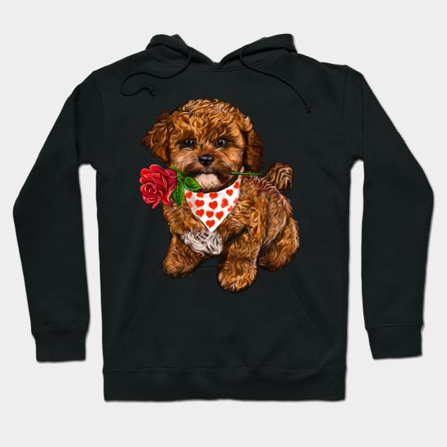 The Best Valentine’s Day Gift ideas, cavalier king charles spaniel Cute puppy dog with love heart sweetheart with red rose in its mouth. Cavapoochon Cavapoo dog Valentine’s Day Hoodie by Artonmytee